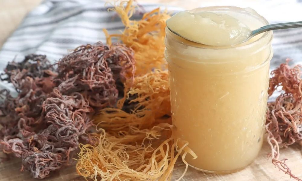 Irish Sea Moss Gel – Hearthy Foods