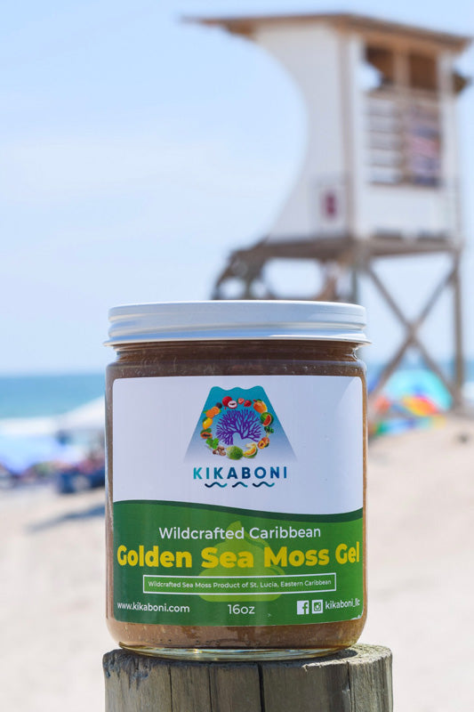Wildcrafted Gold Sea Moss Gel