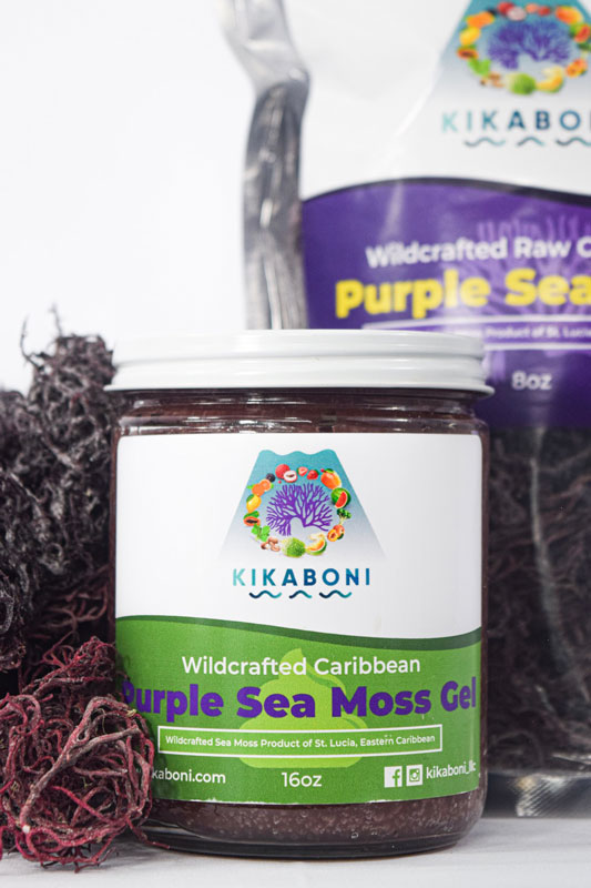 Wildcrafted Purple Sea Moss Gel