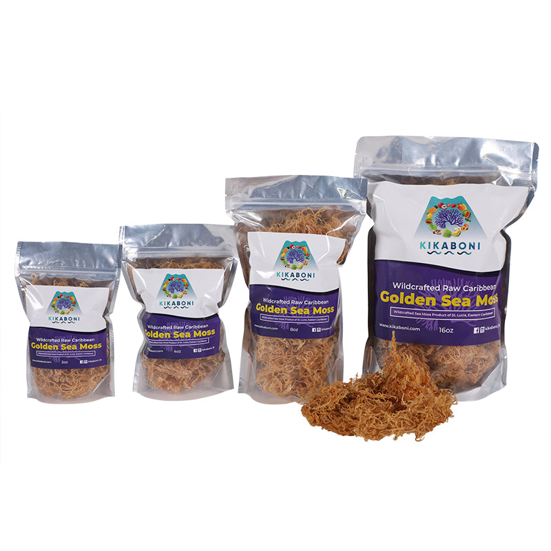 Gold Wildcrafted Sea Moss