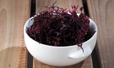 Helpful Tips: What Are the Best Foods To Add Sea Moss To?