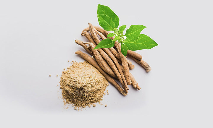 The Rise of Ashwagandha: Why This Ancient Herb is Gaining Popularity Today