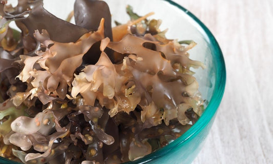 Jamaican Purple Sea Moss vs. Irish Sea Moss: Key Differences