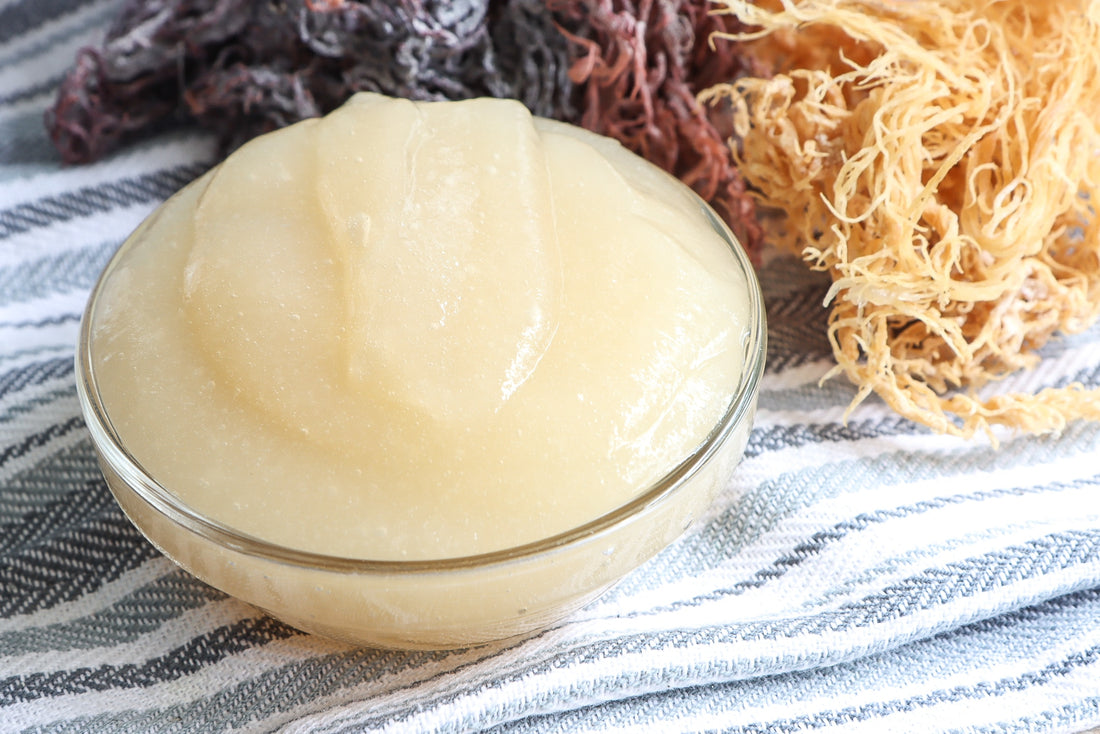 Sea Moss Gel: Innovative Uses for a Nutrient-Rich Superfood