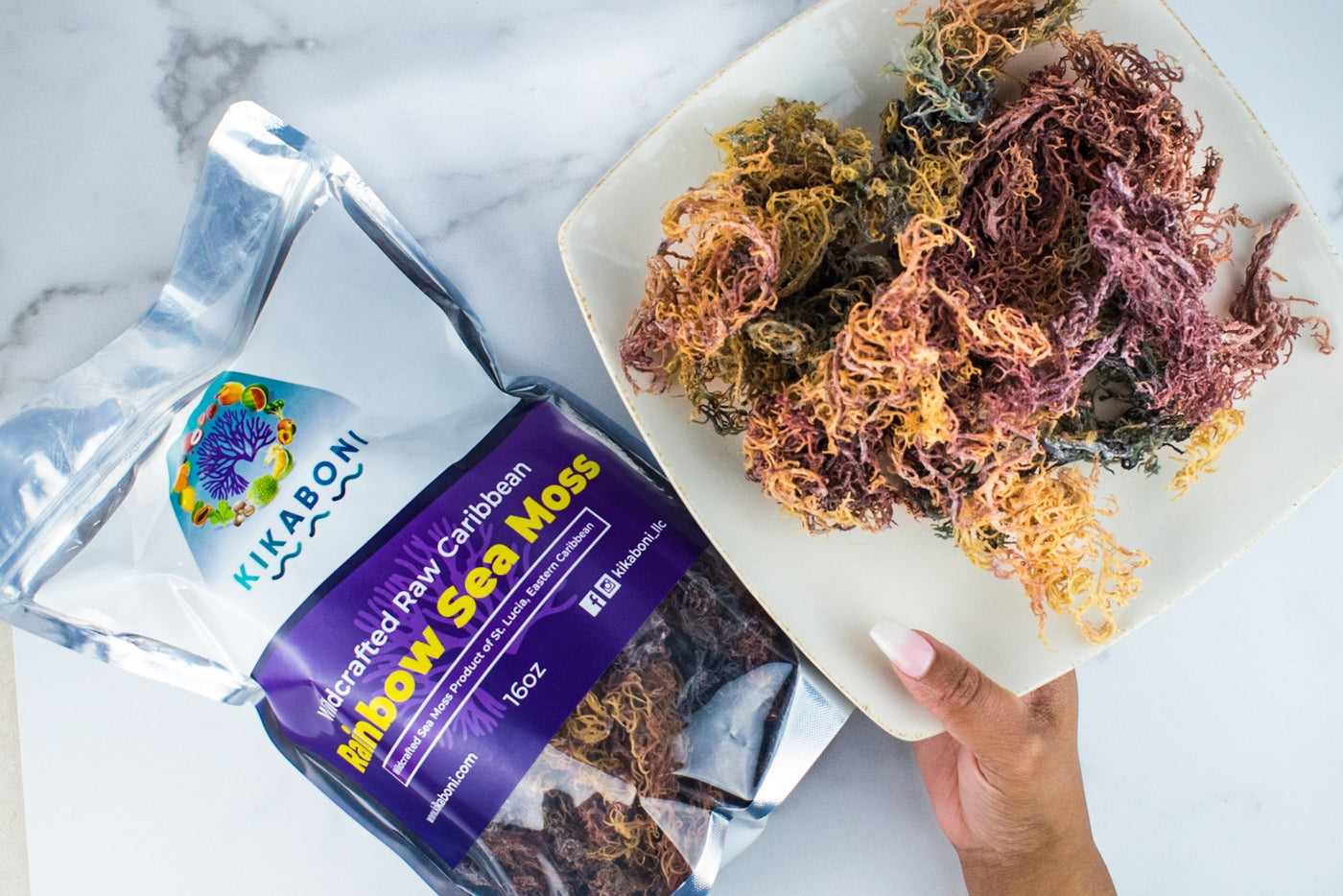 WILDCRAFTED DRIED SEA MOSS