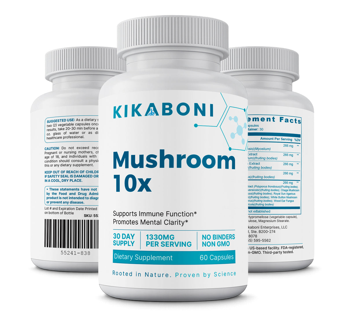 Mushroom 10x