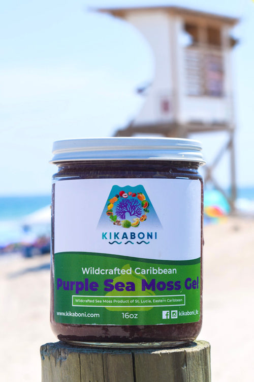 Wildcrafted Purple Sea Moss Gel