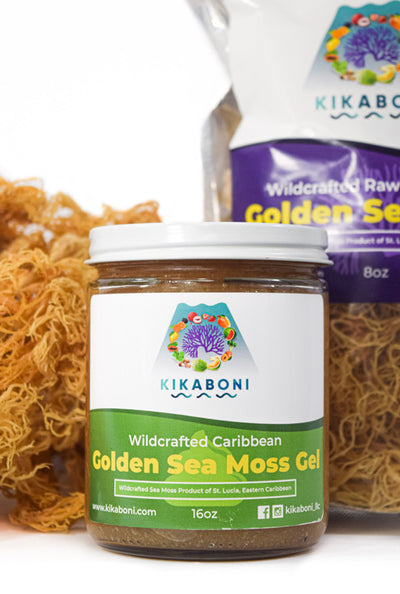 Premium Wildcrafted Gold Sea Moss Gel