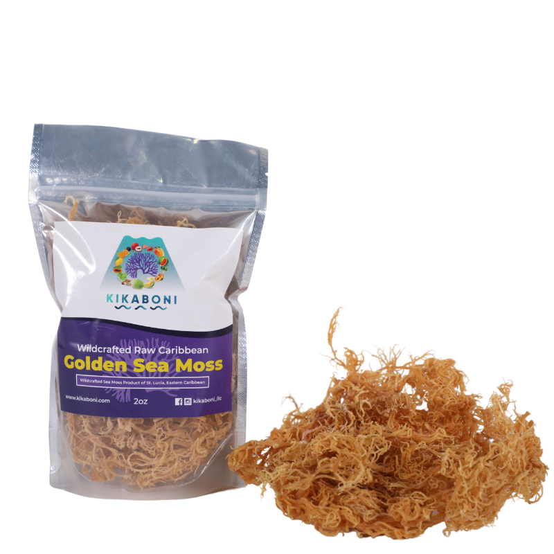 Premium Gold Wildcrafted Sea Moss